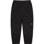 Коллекция одежды SS24 Повседневные брюки мужские черные THE NORTH FACE - фото