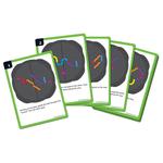 Учебные ресурсы Learning Resources - фото 3