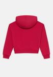 Худи Tommy Hilfiger RHINESTONE FLAG HOODIE, Ruby Rhubarb/Red - фото 2