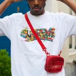 Футболка ss20 week 1 paint logo tee logo tee Supreme, белый - фото 3