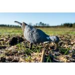 Манок 3D RAVEN 100 SOLOGNAC - фото 8