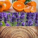 Туалетная вода Calvin Klein Obsession for Men - фото 5