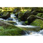 Фильтр B+W #701 MRC Basic 50% Graduated ND Filter 66-1102713 - фото 6