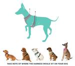 Ремни FuzzYard сходят с ума л FuzzYard - фото 5