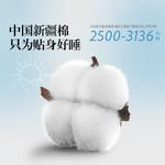 LUOLAI HOME Простыня, 220x240 см - фото 4