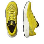 Кроссовки SALOMON Pulsar 'Sedona Sage' - фото 3