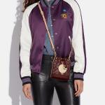 Демпси Хэндбэгз КОУЧ - фото 6