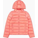 Куртка с капюшоном, куртка с полифиллом Champion, мультиколор - фото