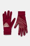 Перчатки Upcycled Speed Dynafit, бордовый - фото