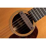 Звукодатчик Fishman Neo-D Magnetic Soundhole Pickup PRO-NEO-D04 - фото 6