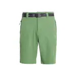 Мужские шорты-бермуды Taupo I30 Altus, зеленый - фото