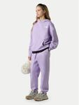 Спортивные брюки regular fit Essential NF0A8BHS The North Face, фиолетовый - фото 2