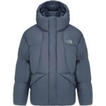 Мужская пуховик skye THE NORTH FACE, голубой - фото