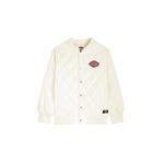 Утепленная куртка для подростков Dickies, бледно-голубая - фото