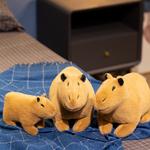 Плюшевая игрушка капибара высотой 18см/26см Pissie - фото 2