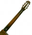 Eastman Истман DM1 - фото 6