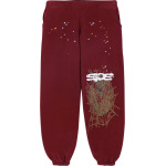 Спортивные брюки Sp5der Sweatpants 'Maroon', красный - фото