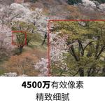 Фотоаппарат Canon EOS R5 RF 70-200 - фото 9