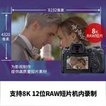 Фотоаппарат Canon EOS R5 (24-105 USM） - фото 5