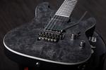 Schecter Ernie C C-1 Black Reign - фото 8