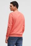 CAMP DAVID Свитшот в коралловом цвете - фото 4