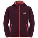 Детская куртка Fourwinds - куртка Softshell Jack Wolfskin, Amaranth - фото
