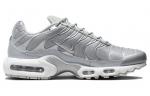 Nike Air Max Plus Metallic Silver - фото 2