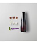 Шампунь для волос Shu Uemura Ashita Supreme, 300 ml - фото 2