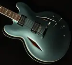 Epiphone Dave Grohl DG-335 Полуакустическая гитара - фото 5