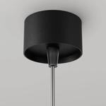 Подвесной светильник Maytoni Decorative Lighting Focus LED, черный - фото 6