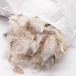 Подушка  Zollner, белый - фото 6