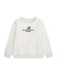 Толстовка Jack & Jones Junior JCOTIER, Mottled White - фото