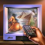 Диск CD Skinemaxxx - Fly Anakin - фото