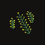 Nike Унисекс поло черное - фото 4