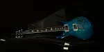 PRS Guitars Wildwood Wood Library S2 McCarty 594 - фото 6