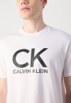 Футболка Calvin Klein Jeans GRAPHIC TEE, Brilliant White/White - фото 8