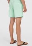 Пляжные шорты CALI 16 O'Neill, мята - фото 3