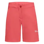 Шорты Jack Wolfskin Hiking Alpine, розовый - фото 3