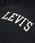 Худи с капюшоном и молнией Legendary для мальчика Levi's, черный - фото 3
