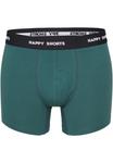 Брюки 6-PACK Happy Shorts, зеленый - фото 2