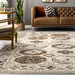 Ковер Astrid Traditional Motif Fringe Area Rug nuLOOM, 61x122 см, бежевый - фото 8