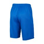 Nike Dri Fit Park III шорты для подростков royal blue - фото 3