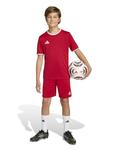 Adidas Performance Спортивные шорты Regular 'ENT26' в цвете Blood Red - фото 5