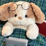 Плюшевая кукла кролик щенок высота 30см Nodding Bud Bug - фото 10