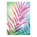 Фреска Komar Shine, разноцветный - фото