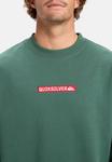 Толстовка Quiksilver DNA CREW, Tkr/Dark Green - фото 4