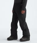 Мужские брюки Seymore THE NORTH FACE, Tnf Black-Npf - фото 2