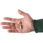 Блесна для ловли хищной рыбы Weta Fish №1 цветная натуральная CAPERLAN, светло-серый - фото 4