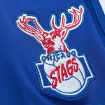 Баскетбольные шорты HWC Mitchell Ness, синий - фото 4