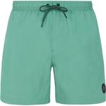 Плавки в шортах быстрее, пляжные шорты Protest, зеленый - фото